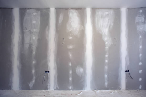 Best Drywall Removal and Disposal  in Spring Hill, TN